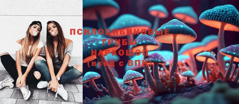 Псилоцибиновые грибы Magic Shrooms  Полярные Зори 